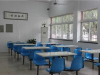 新政府会计制度下中小学校食堂账务实务探析